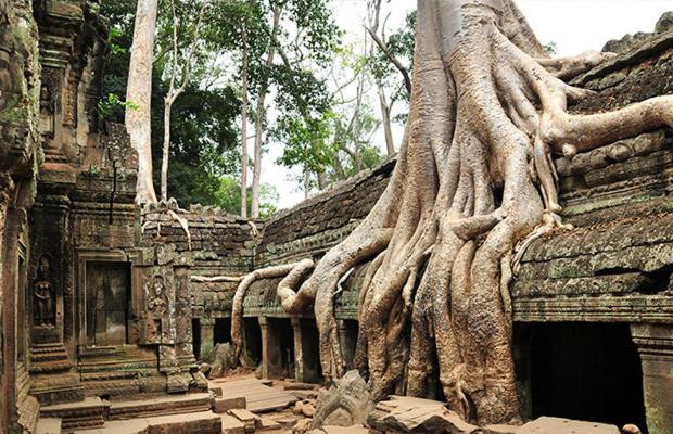 Angkor Catalina Boutique Villa シェムリアップ エクステリア 写真